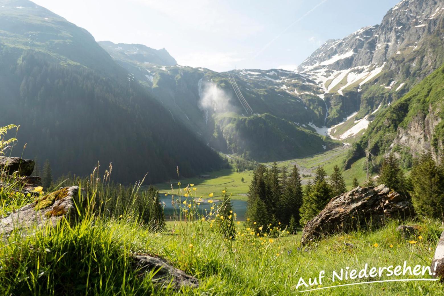 Ferienwohnung Auf Niedersehen - 8 Personen - Kitzbuehler Alpen - Hoehe Tauern Np Hollersbach im Pinzgau Extérieur photo